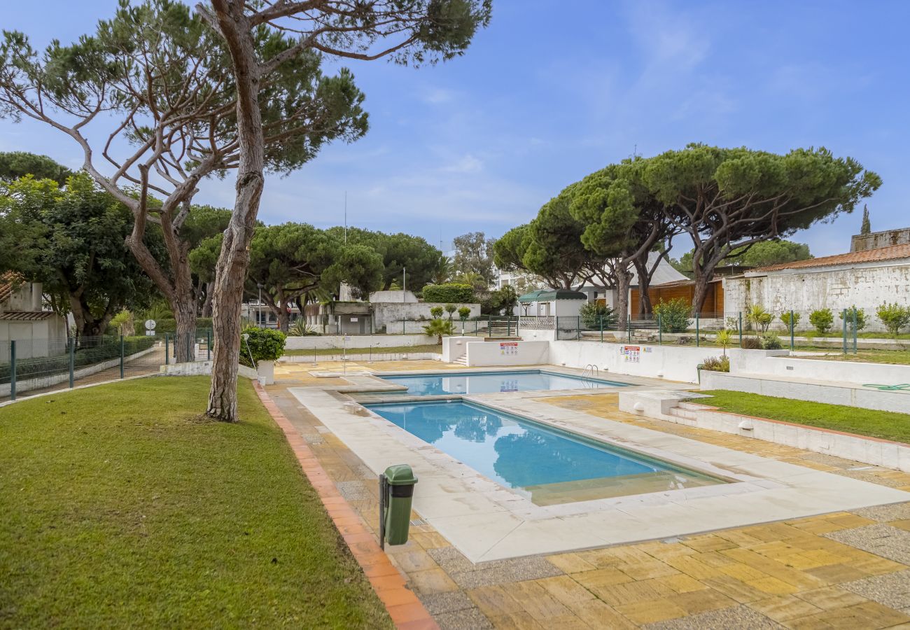 Studio in Albufeira - Açoteias Beach Studio